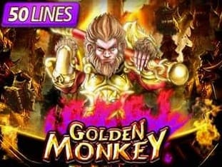 Golden Monkey
