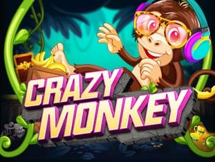 Crazy Monkey screenshot